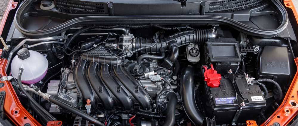 vesta-Sport Vesta Sport